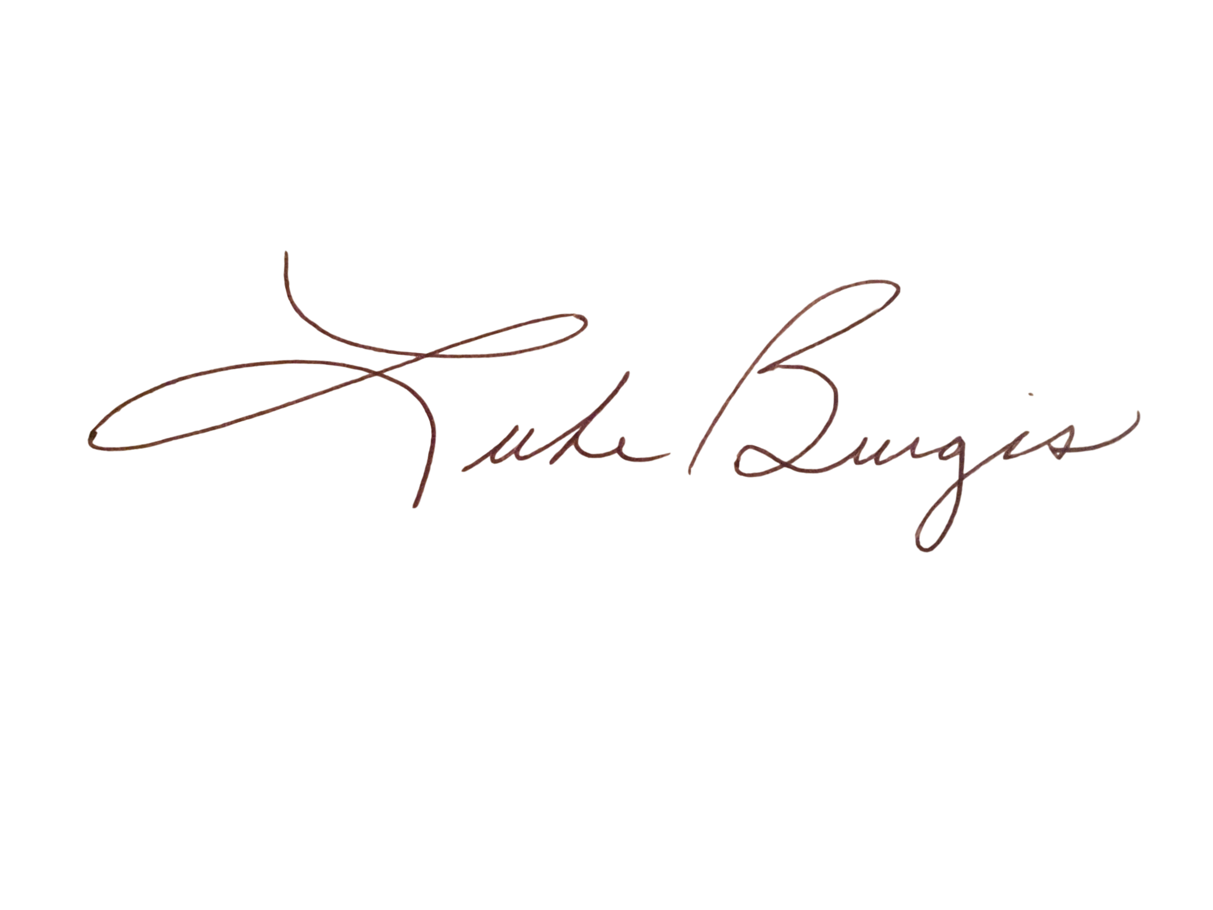 Luke Burgis signature